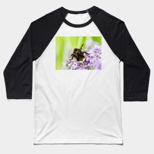 Party Bee Baseball T-Shirt